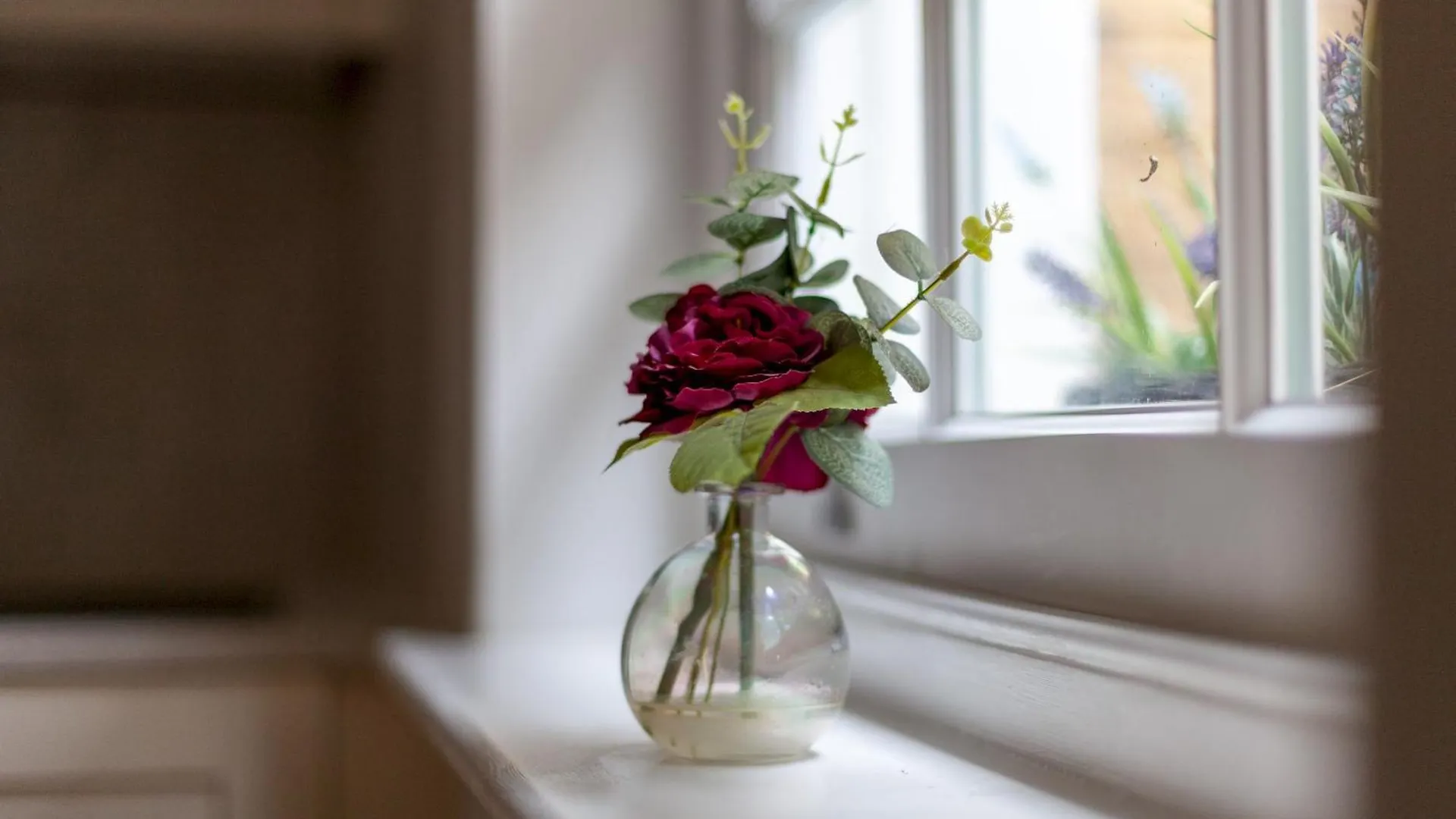 Apartment The New Cross Premier Rooms London United Kingdom